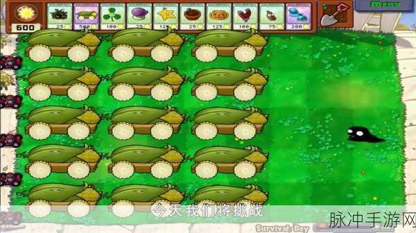 植物大战僵尸毁灭加农炮 3 通关秘籍大揭秘