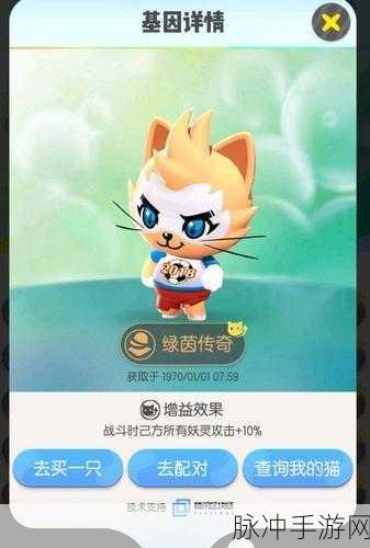 一起来捉妖，套装猫完美配法与培养秘籍