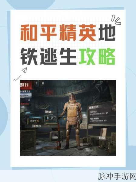 和平精英段位全解析，从青铜到无敌战神的荣耀之路