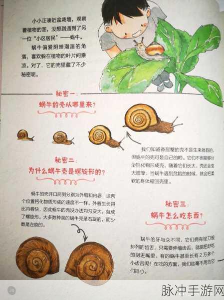 探索最强蜗牛力场发生器蜗壳获取秘籍