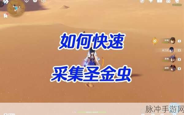 原神，圣金虫采集全攻略，带你轻松获取