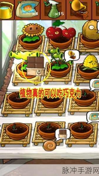 植物大战僵尸中智慧树的神奇作用全解析