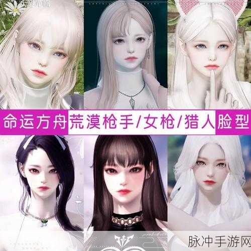 命运方舟捏脸数据使用全攻略