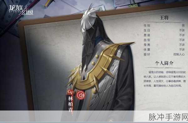 龙族幻想墨染锦年异闻全攻略指南