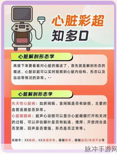 超数据世界新手畅玩秘籍指南