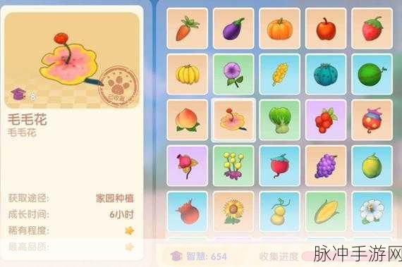 摩尔庄园手游，酱爆囧菇菜谱全解析