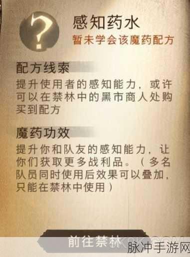 哈利波特魔法觉醒，掌握迷惑药剂的神奇用法