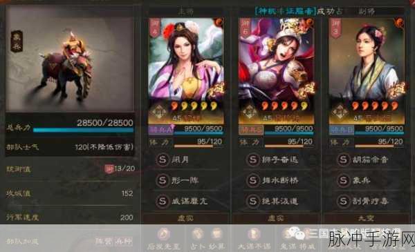 三国志战略版，蔡文姬的绝佳搭配策略解析