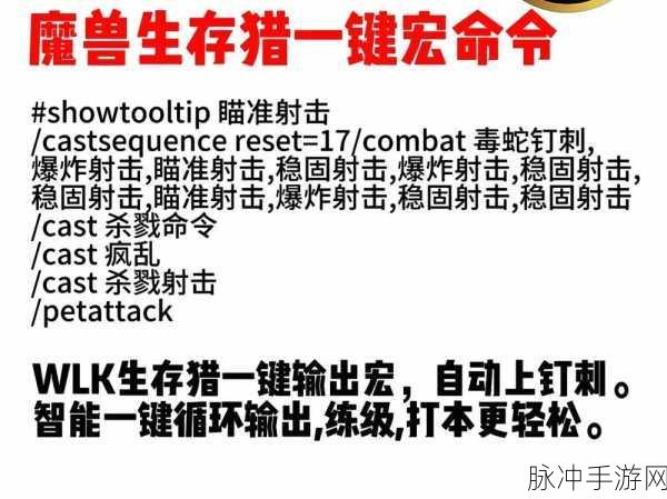 深度解析魔兽世界鼠标宏的秘密