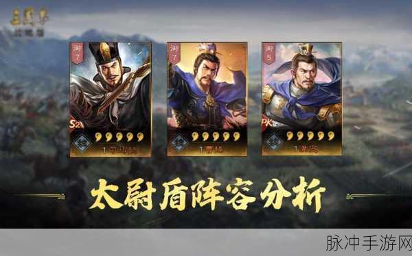 三国志战略版，白板太尉盾阵容登顶秘籍