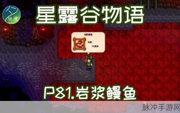星露谷物语，探寻鳗鱼的神秘出没之地与时间