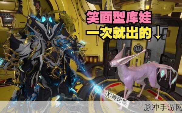 Warframe 中库娃与星际战甲猫类全解析