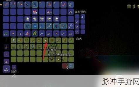 泰拉瑞亚无限召唤秘籍大揭秘