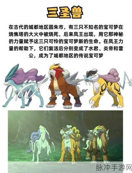 口袋精灵 2T7 尤玛火山深度探秘，宠物、经验与金钱全解析
