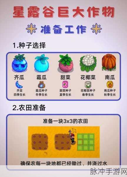 星露谷物语齐先生任务全解析指南