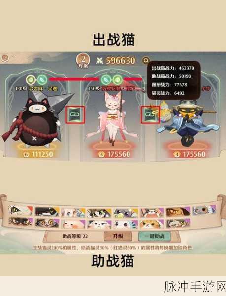 森之国度中谁是最强猫灵？全面解析在此