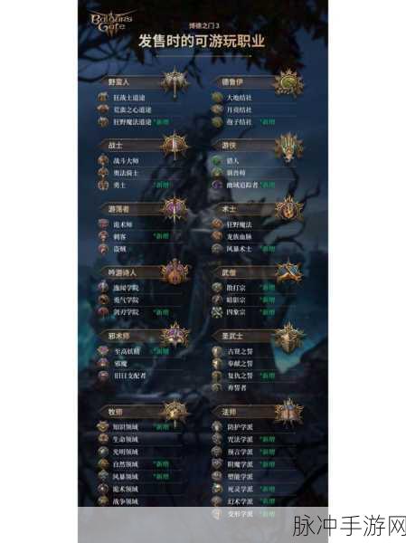 博德之门 3 战士策略全解析