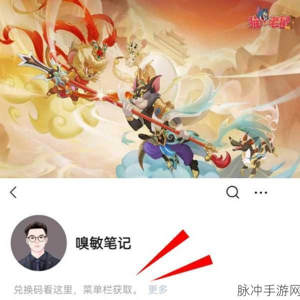 猫和老鼠共研服激活码获取全攻略