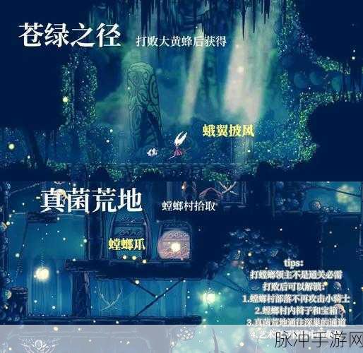 空洞骑士五门开启全攻略 助你畅游神秘世界
