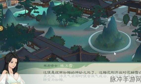 探寻觅长生wiki网址入口的秘密攻略