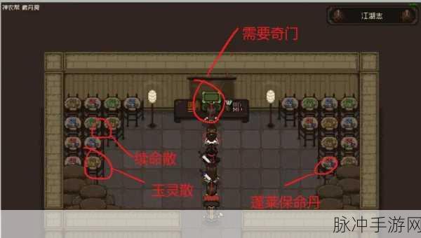 大江湖之苍龙与白鸟，全方位攻略指南