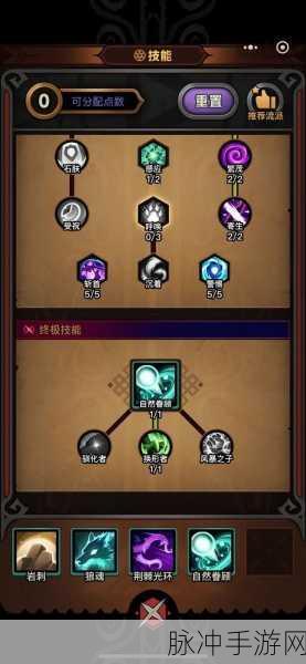 博德之门 3 第七章，德鲁伊寻觅全攻略