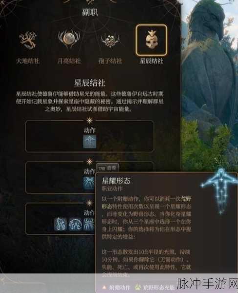博德之门 3 第七章，德鲁伊寻觅全攻略
