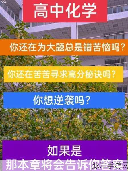 长安幻想夺宝奇兵高分秘籍大公开