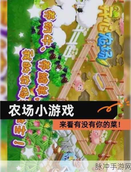 我的农场游戏赚钱提现真相大揭秘
