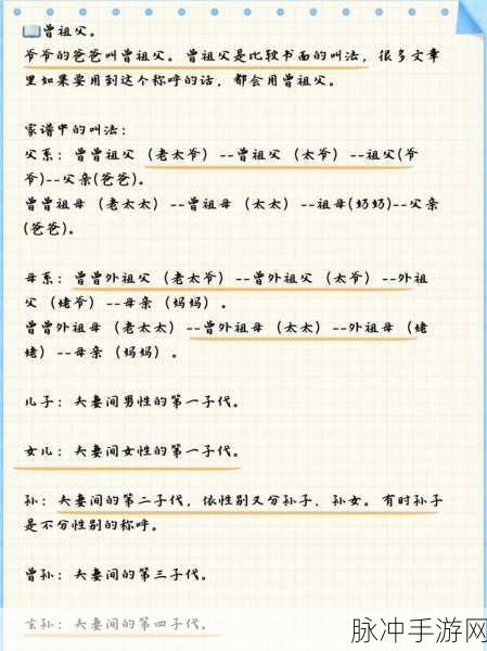 愤怒的孙子们装弹药秘籍大揭秘