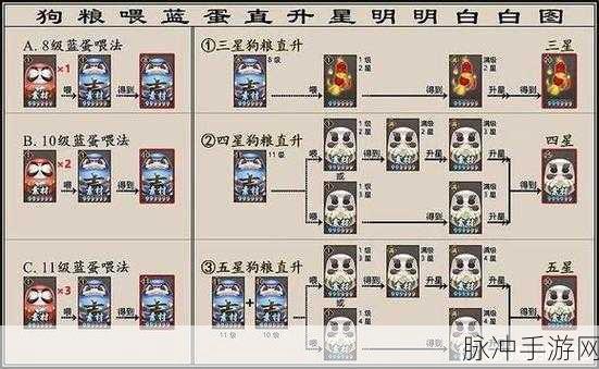 阴阳师浮汤箱庭彩蛋位置全揭秘