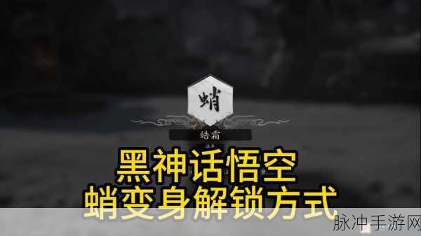 黑神话悟空，获取灵光点的终极秘籍
