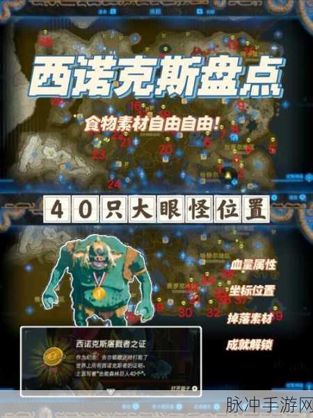 塞尔达传说，勇者存款位置全攻略