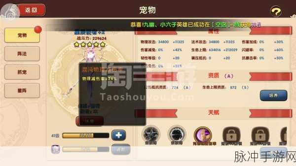 太极熊猫 2 太极武僧实战能力全解析