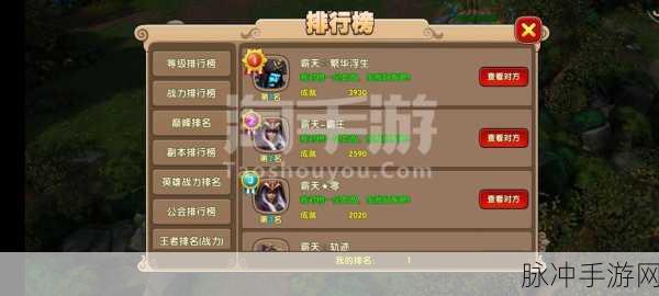 太极熊猫 2 太极武僧实战能力全解析