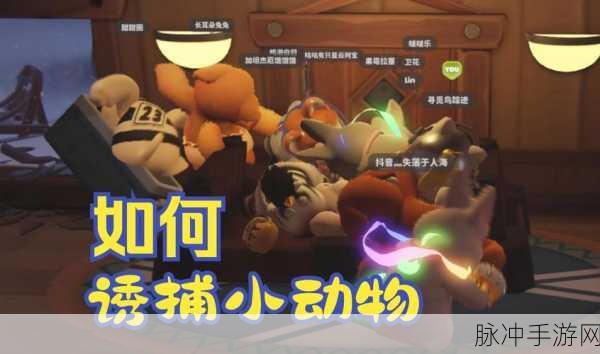 动物派对进不去？别慌！超全解决攻略在此