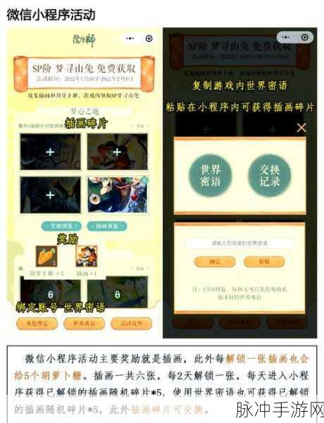 阴阳师新版兔十通关秘籍，吸血姬玩法解析