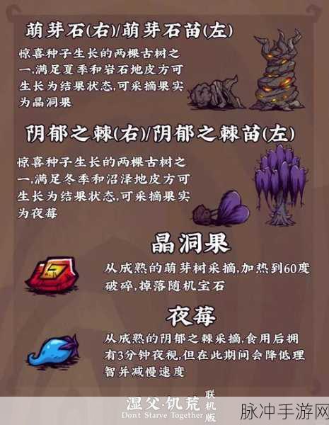 饥荒新家园特质搭配全攻略