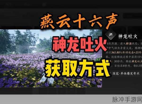 燕云十六声攻略，神龙覆面任务全解析