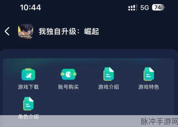 我独自升级崛起，充值秘籍大公开