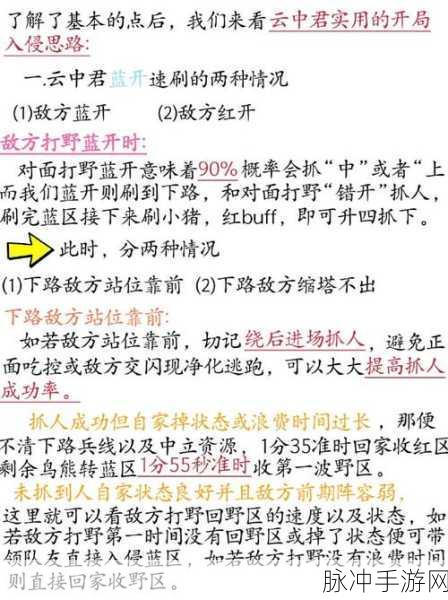 王者荣耀，达摩玩法全解析，制霸战场秘籍