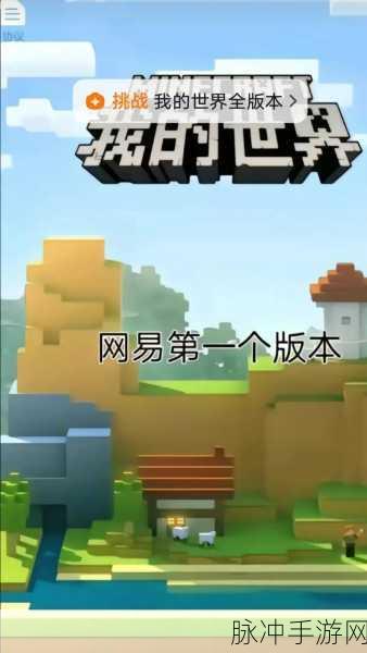 我的世界，版本大揭秘与深度探索