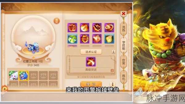 梦幻西游手游神兜兜价格大揭秘及获取攻略