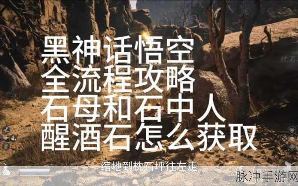 黑神话悟空，探寻醒酒石的神秘获取之地