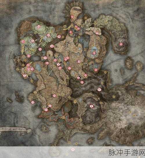 艾尔登法环 DLC 王受赐护符获取全攻略
