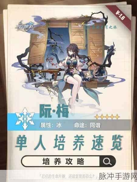 崩坏星穹铁道阮梅最强阵容搭配攻略指南