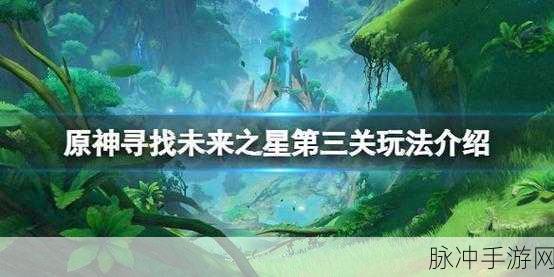 原神寻找未来之星第四天，探秘之旅