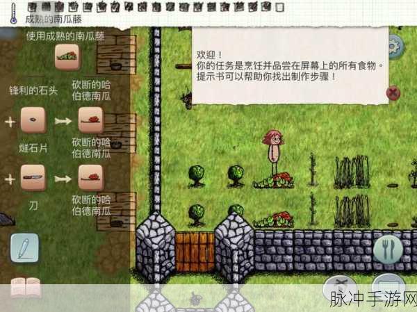 探索希望之村，重生秘籍大揭秘