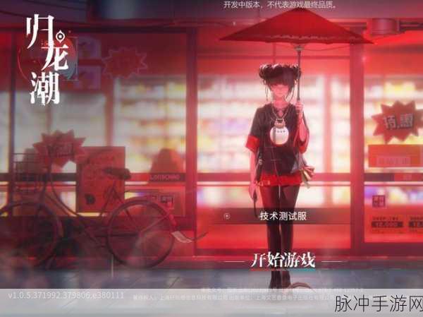 归龙潮技术性测试资格获取秘籍大公开