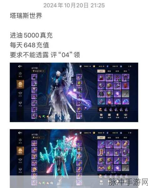 畅玩塔瑞斯世界塔塔祭副本指南